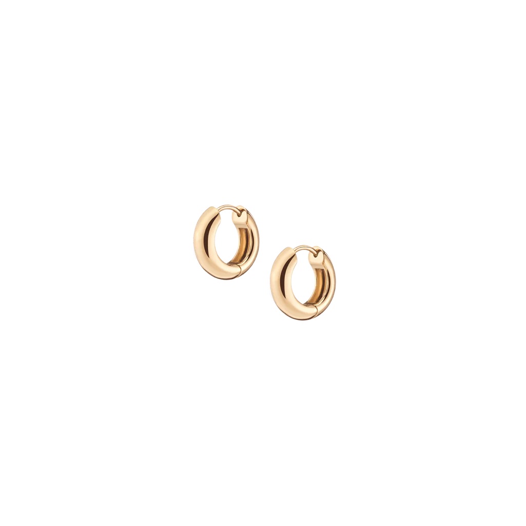 Aurate Small Chunky Hinge Hoops Earrings